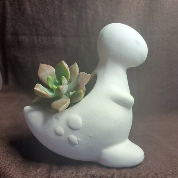 White Ceramic Dinosaur Planter with Live Succulent
